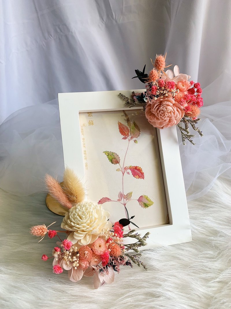 【在线】索拉花干燥花相框 DIY手作体验 - 植栽 - 植物．花 