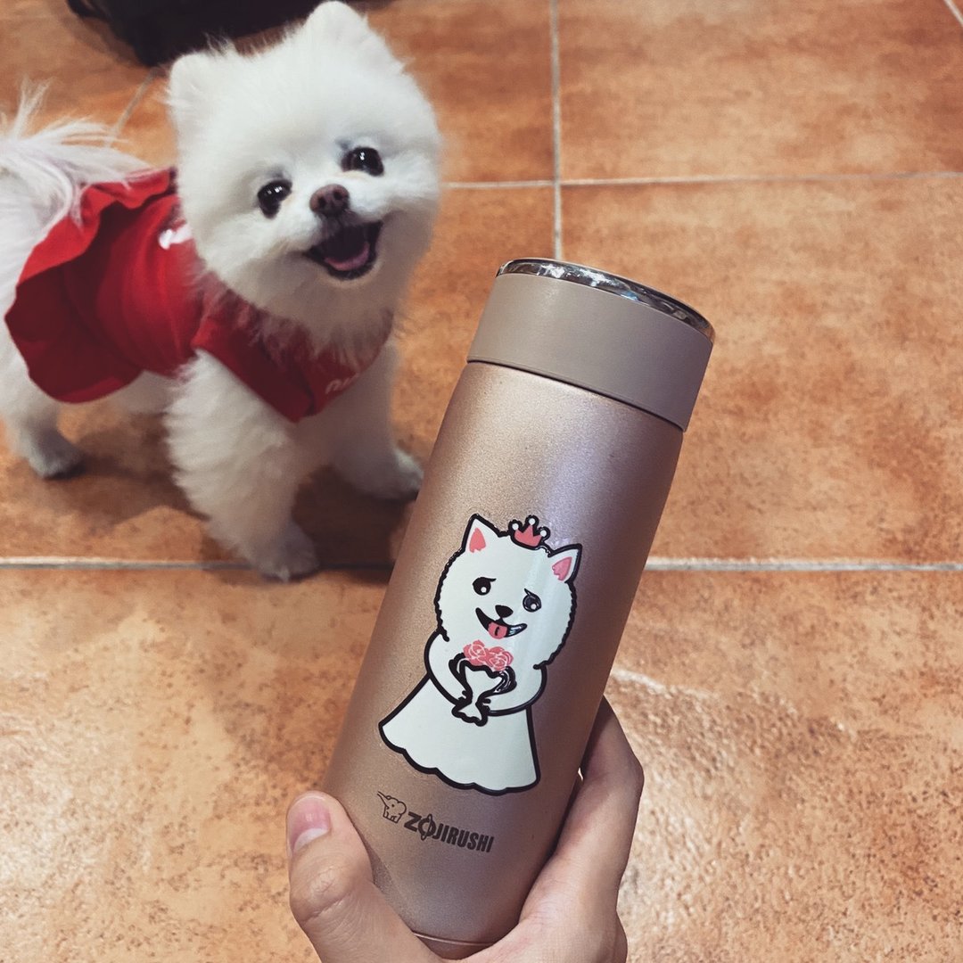 婚纱 婚礼小物 宠物 贴纸 博美 柴犬 猫咪 贵宾 腊肠犬 - 贴纸 - 其他材质 多色