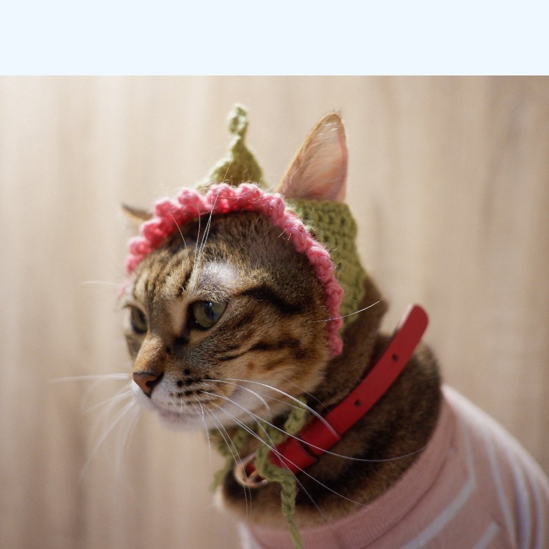 猫咪恐龙帽 | 手工毛线宠物帽 | 猫奴礼物 | 宠物写真道具 - 衣/帽 - 其他材质 绿色