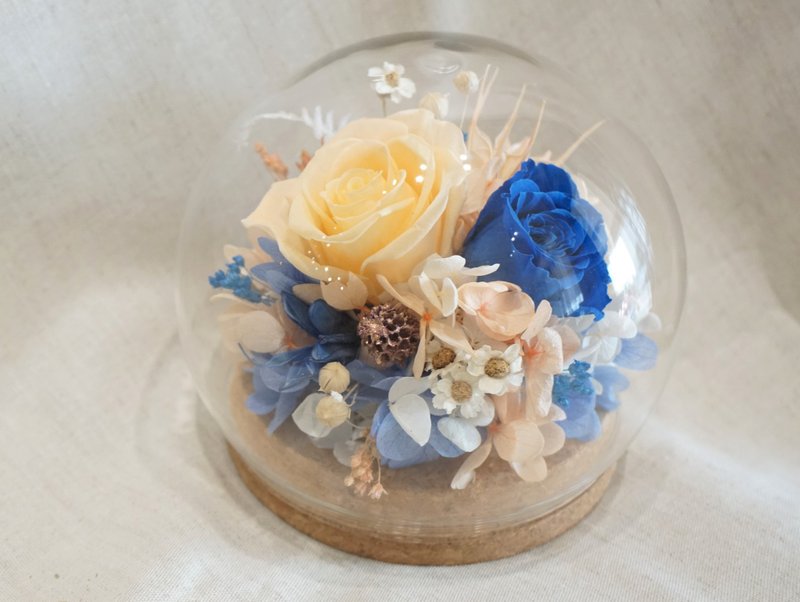 撞色系列 油彩画  玻璃罩玫瑰  生日礼物 乔迁礼 办公室小物 - 干燥花/捧花 - 植物．花 多色