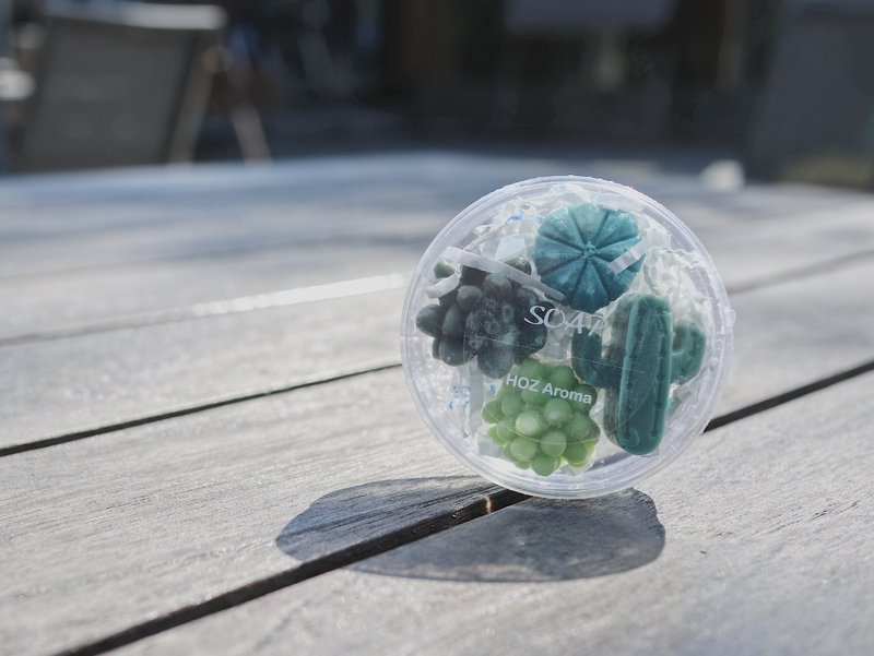 多肉植物 造型手工皂 - 小盒 - 肥皂/手工皂 - 其他材质 