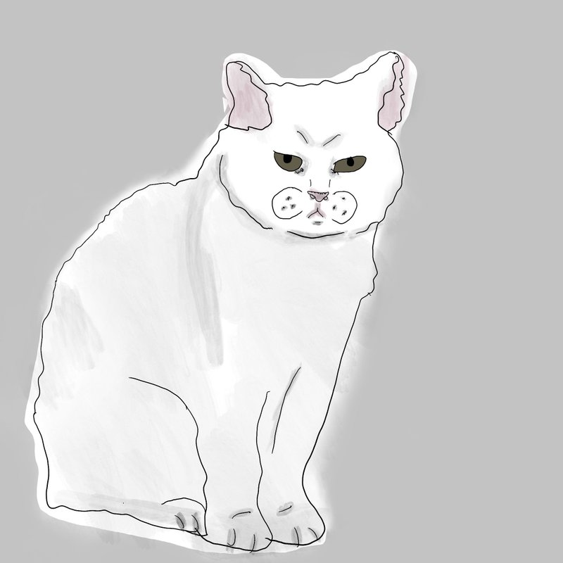 Ugly Pets 丑颜绘 - 电子手绘真人画像/绘画/插画 - 纸 