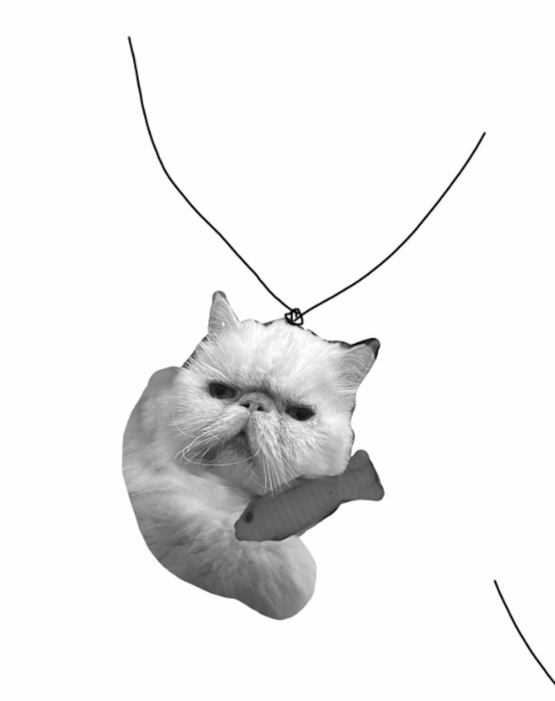 订制猫咪坠饰 - 项链 - 纯银 银色