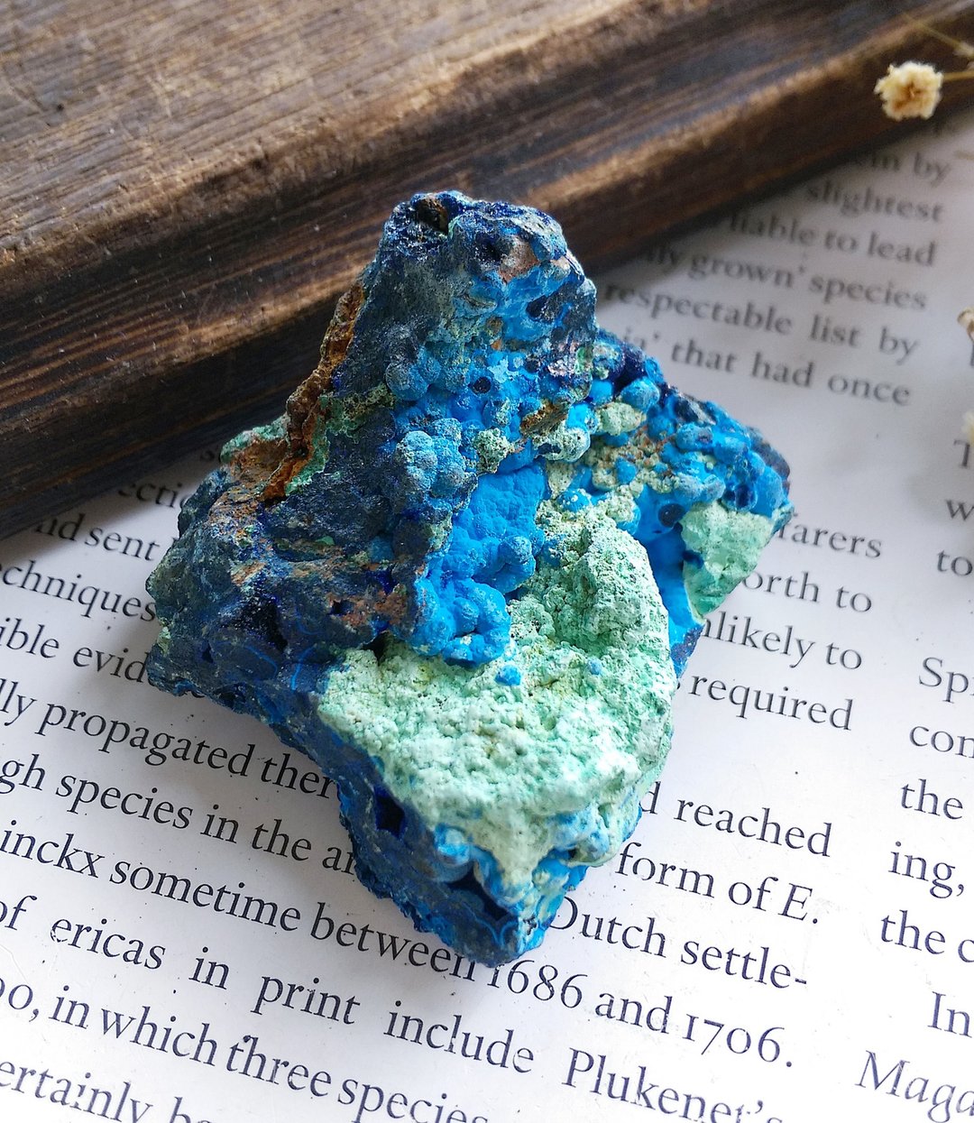 Azurite 湖北产地 蓝铜矿 圭孔雀石 共生矿 天然矿石 原矿 - 摆饰 - 其他材质 