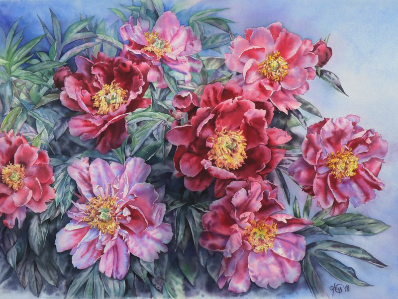 粉红牡丹墙艺术原创水彩画由艺术家 Irina Zhunaeva 创作 - 海报/装饰画/版画 - 纸 多色