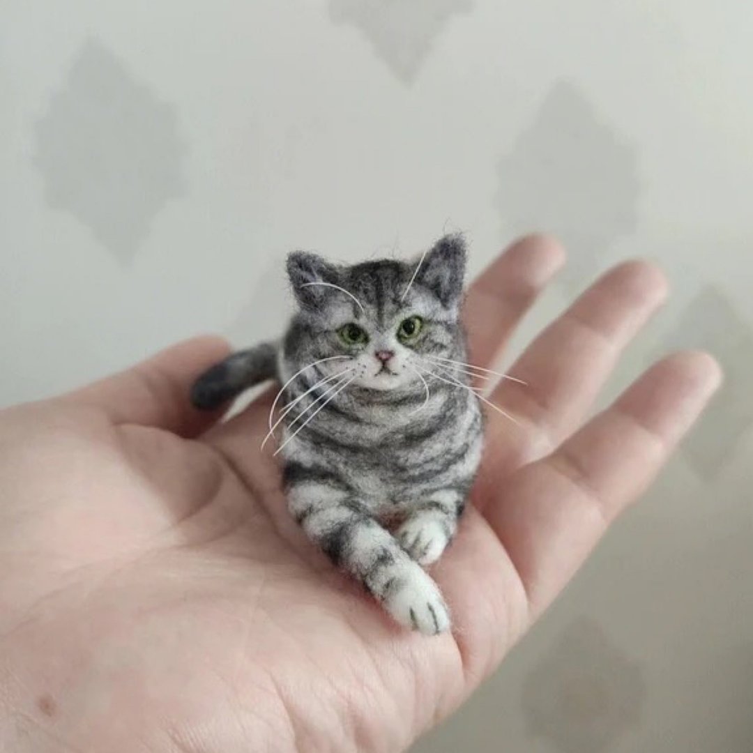 定制化礼物 逼真猫猫 羊毛毡 毛孩 宠物 娃娃 猫咪猫奴 似颜绘 s4 - 玩具 - 羊毛 多色