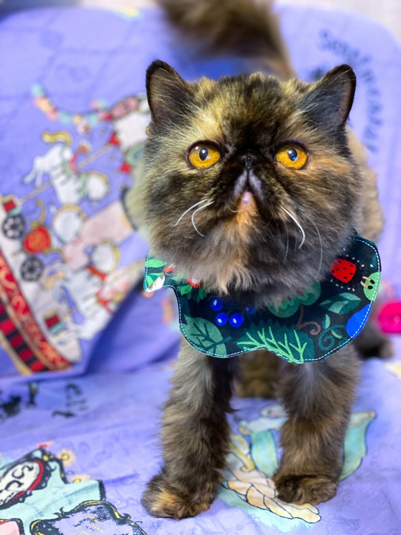 猫狗花形口水肩 日式花形 粉红小兔 黑夜中的森林 小红帽 - 衣/帽 - 棉．麻 多色