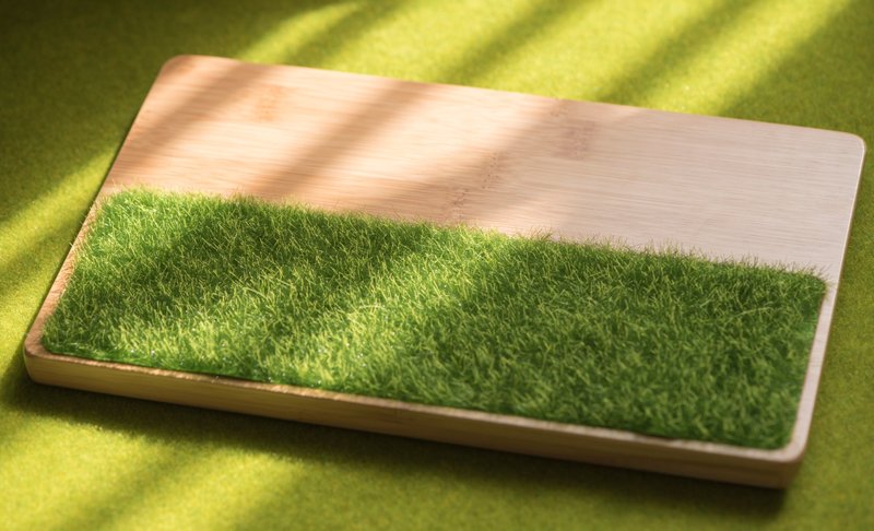 置物盘系列-微风吹过青草地 - 玩偶/公仔 - 竹 多色