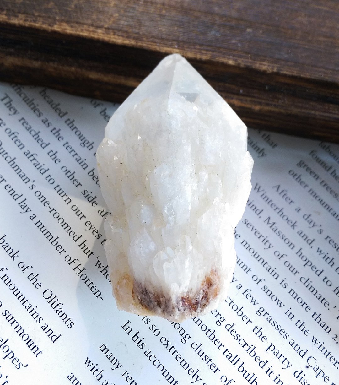 Elestial Quartz  菠萝骨干水晶 侧芽水晶  天然矿石 原矿 - 摆饰 - 其他材质 