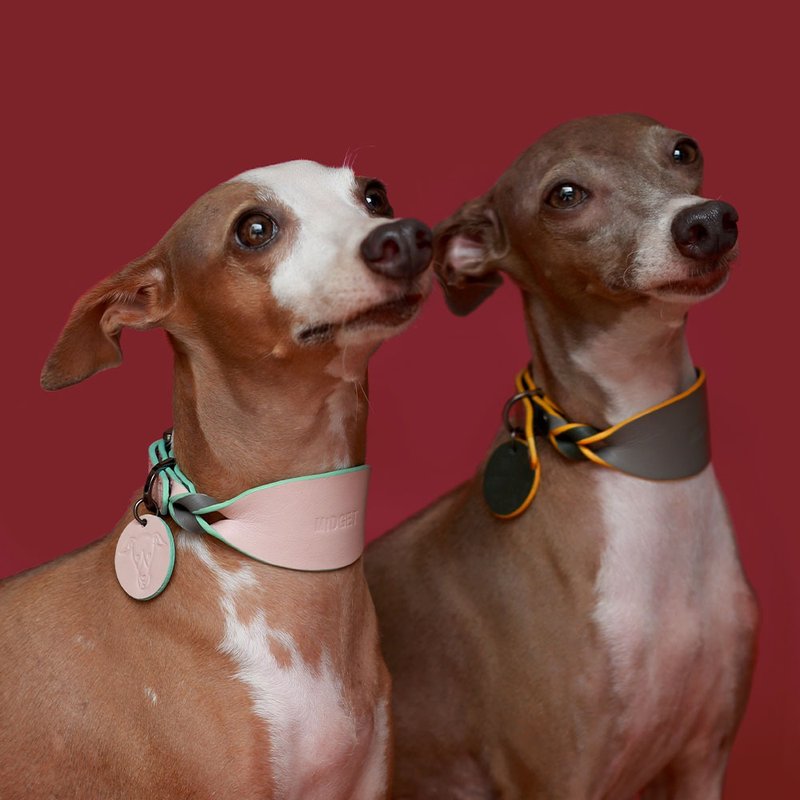 Twits 宠物项圈，厚实，真皮，刻有名字，惠比特犬项圈。 - 项圈/牵绳 - 真皮 粉红色