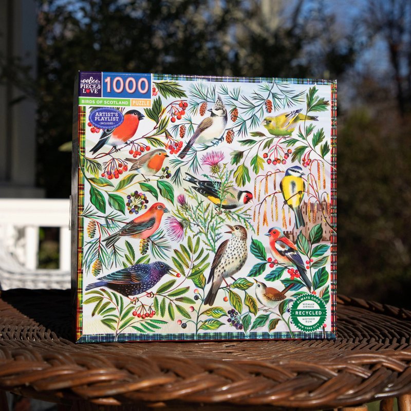 eeBoo 1000片拼图 - 苏格兰鸟 Birds of Scotland 1000 Piece - 拼图 - 纸 多色