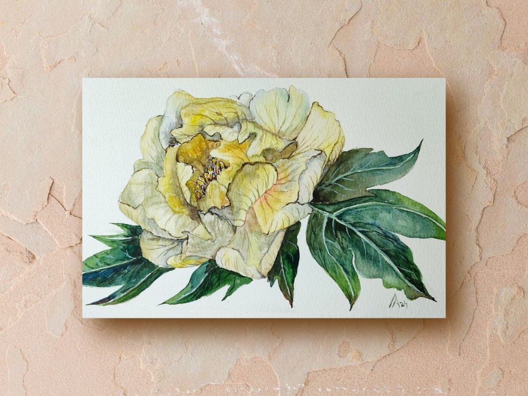 黄牡丹画原创水彩艺术植物花卉艺术品花 - 海报/装饰画/版画 - 纸 黄色
