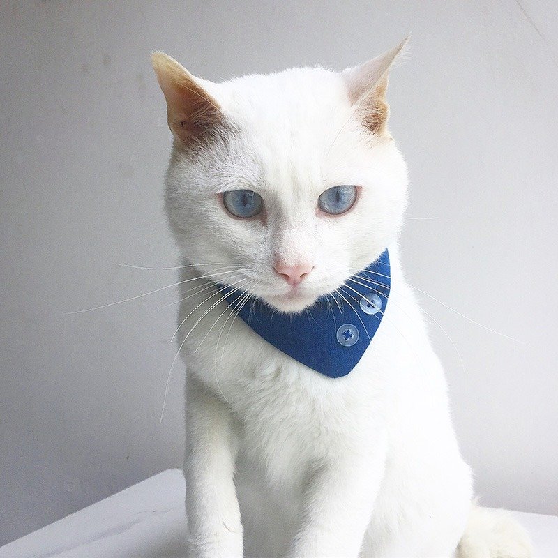 【岁时记】草木染藍染貓咪三角巾 流浪貓義賣 - 项圈/牵绳 - 棉．麻 蓝色