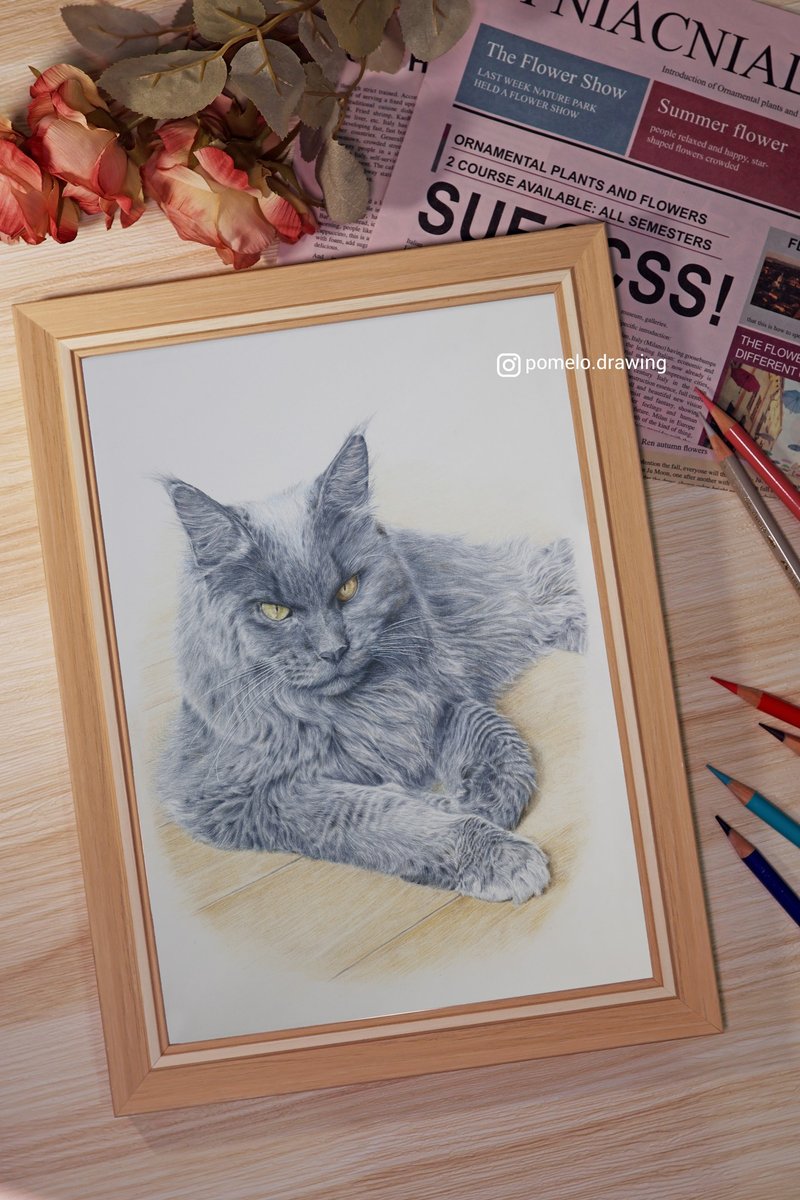 定制宠物画 A4尺寸可附框 精细色铅笔 - 订制画像 - 纸 