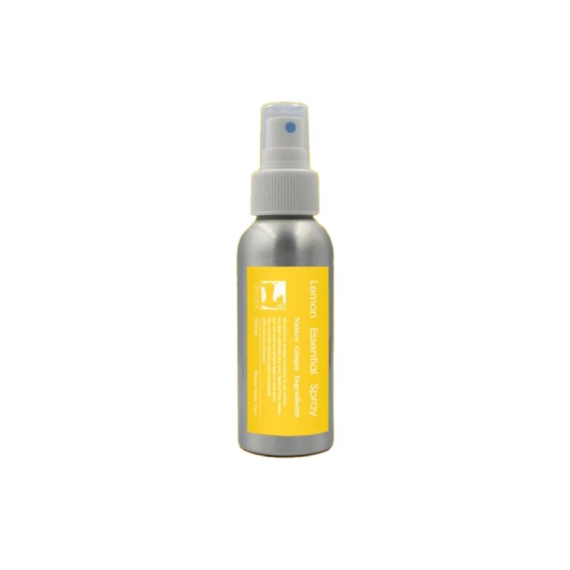 【GIN-GER】姜柠植萃干洗手 100ml - 洗手用品 - 精油 