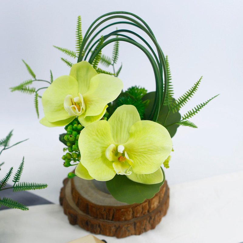 绿蝴蝶兰芒萁香氛花艺/拟真花/永不凋零/礼物/布置/人造花 - 植栽/盆栽 - 其他材质 多色