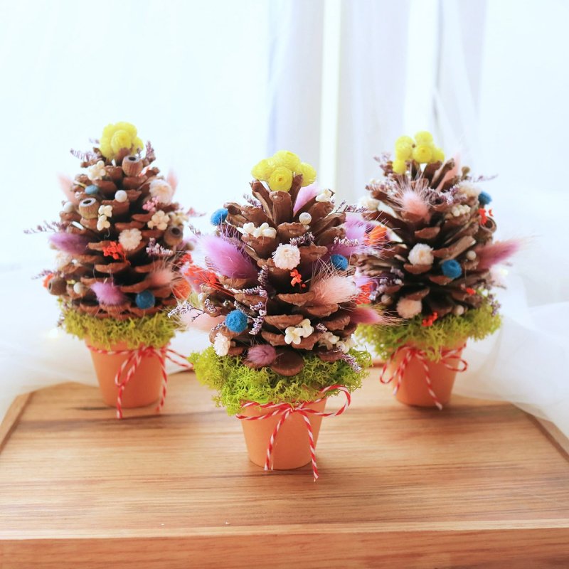 PJ小花园* |手作松果干燥花 陶盆| 圣诞节礼物 - 植栽/盆栽 - 植物．花 多色
