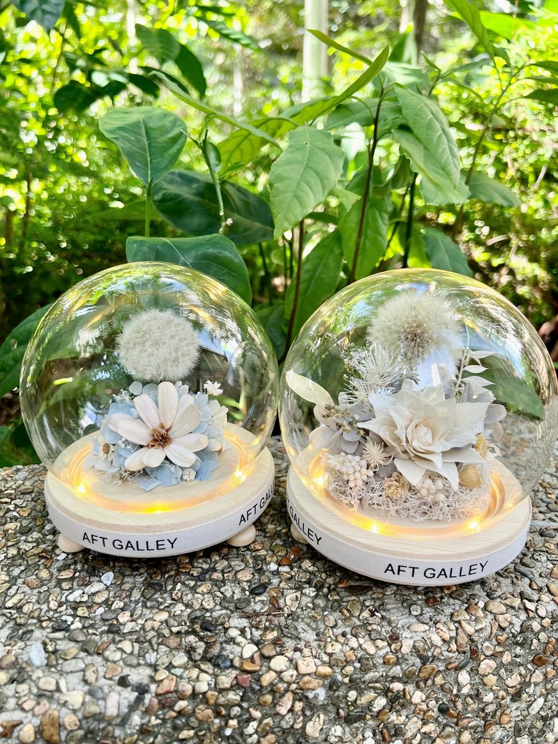 蒲公英玻璃花瓶 可定制 干燥花 不凋花 生日 送礼 - 干燥花/捧花 - 植物．花 多色