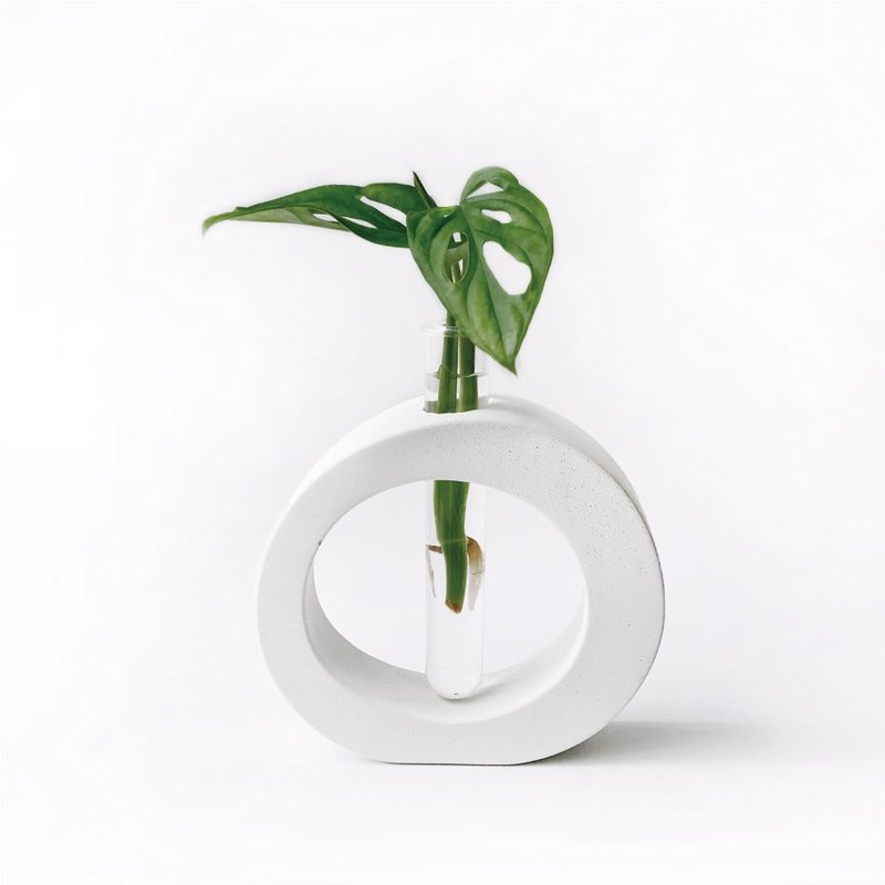 (预购) 纯灰系列 | 窗孔龟背芋 室内水培植栽 圆圈水泥水耕花架 - 植栽/盆栽 - 植物．花 灰色