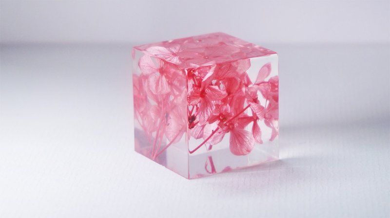 干燥花-红色绣花球-立体方形干花摆设 - 其他 - 植物．花 红色