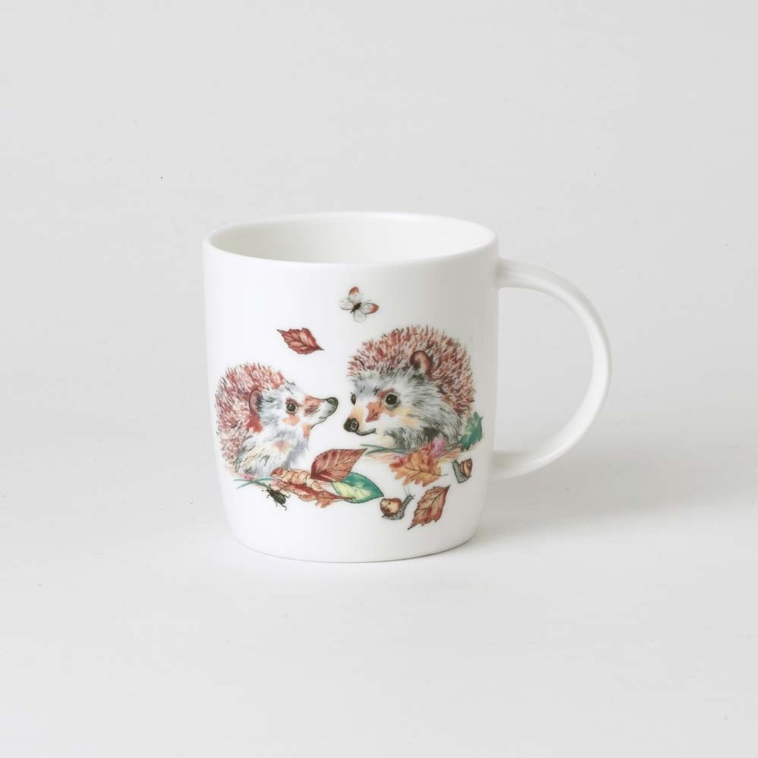 英国 RK | Beatrix Potter's庭园访客刺猬B 380ml骨瓷杯 - 咖啡杯/马克杯 - 瓷 白色
