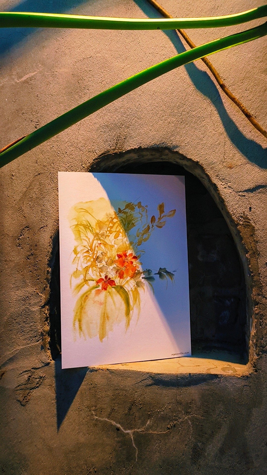 花草画 - 摆饰 - 纸 白色
