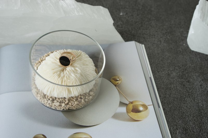 冥想 海菊花 海洋香氛系列 - 香薰/精油/线香 - 贝壳 卡其色