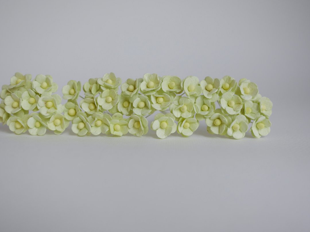 纸花，耗材，100朵加拿大银莲花，1.5厘米，鲜绿色 - 其他 - 纸 紫色