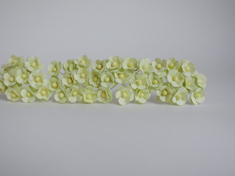 纸花，耗材，100朵加拿大银莲花，1.5厘米，鲜绿色 - 其他 - 纸 紫色