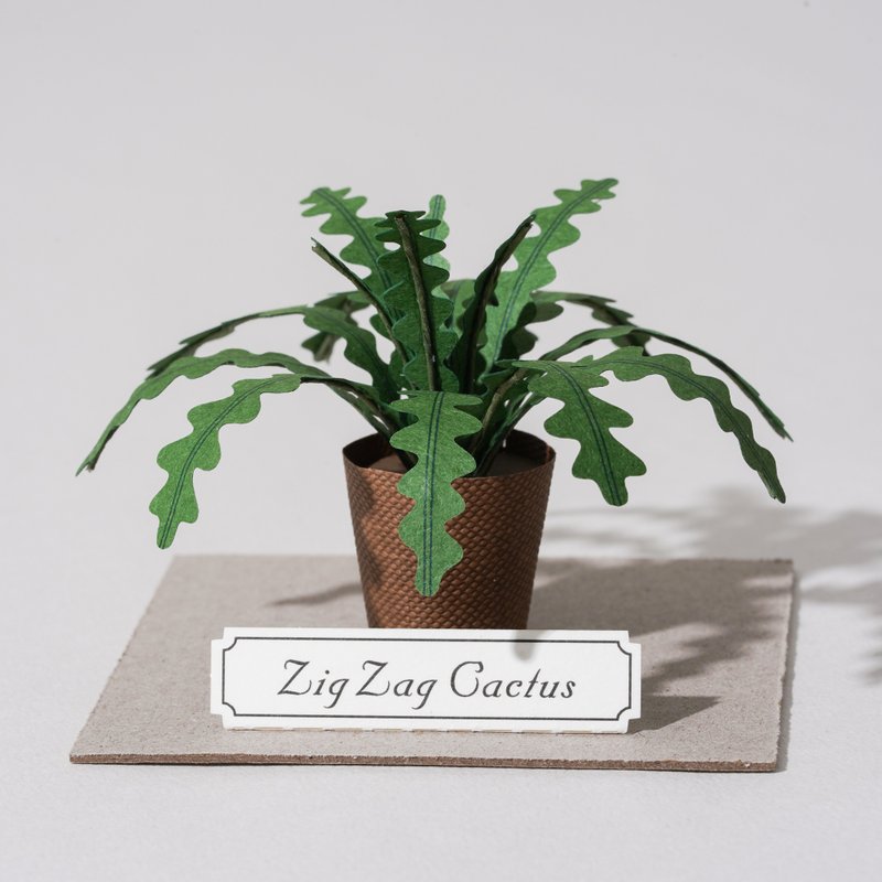 【鱼骨仙人掌】 纸模型 纸植栽 材料包 纸风景 S| 9028404 - 木工/竹艺/纸艺 - 纸 