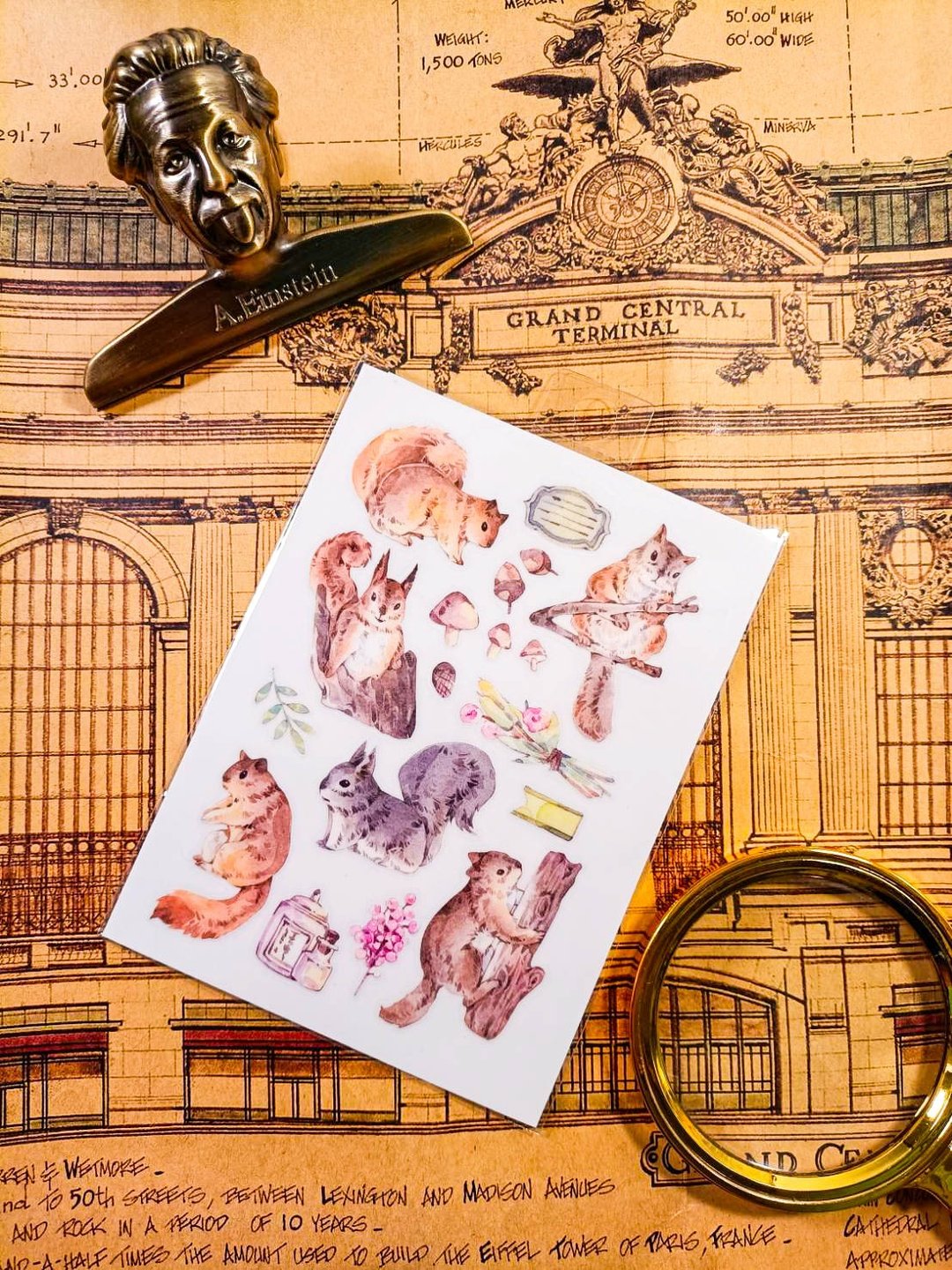 KR521_Cute Animals_msquirrel.A / Transfer Stickers /  轉印貼 - 贴纸 - 塑料 