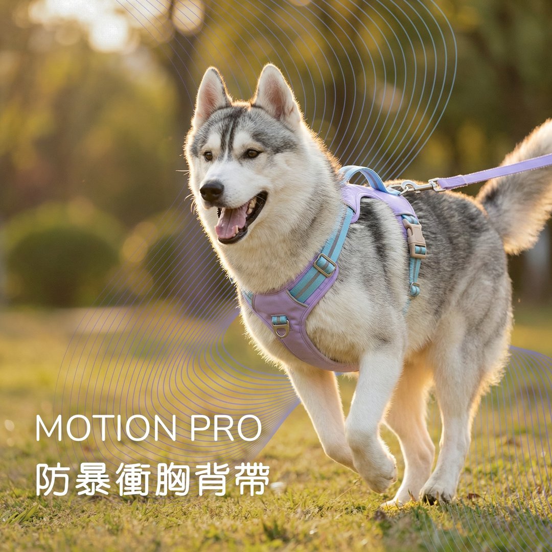 Motion Pro 无拉扯 防暴冲 狗胸背带 宠物 穿搭 - 项圈/牵绳 - 棉 