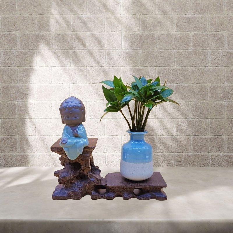 竹柏 室内水生植物 鸡翅木高低架 Q版如来,观音,地藏摆件 - 植栽/盆栽 - 木头 