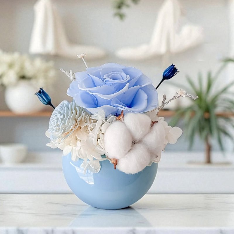 法式海洋之心永生花礼 (赠送5ml香氛油) - 干燥花/捧花 - 植物．花 透明