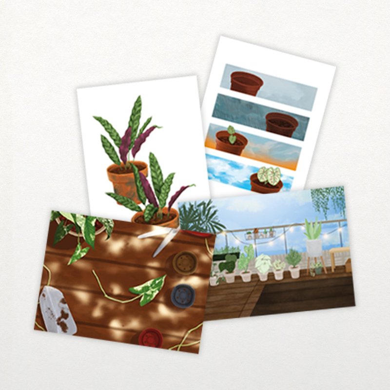 观叶植物│插画明信片套组│一组四入 - 卡片/明信片 - 纸 多色