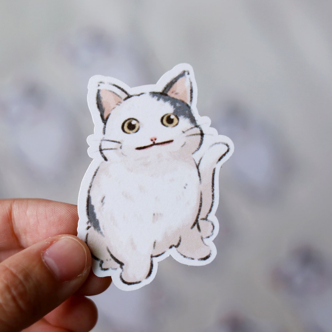 尴尬又不失礼貌的微笑 猫咪贴纸 迷因 - 贴纸 - 纸 白色