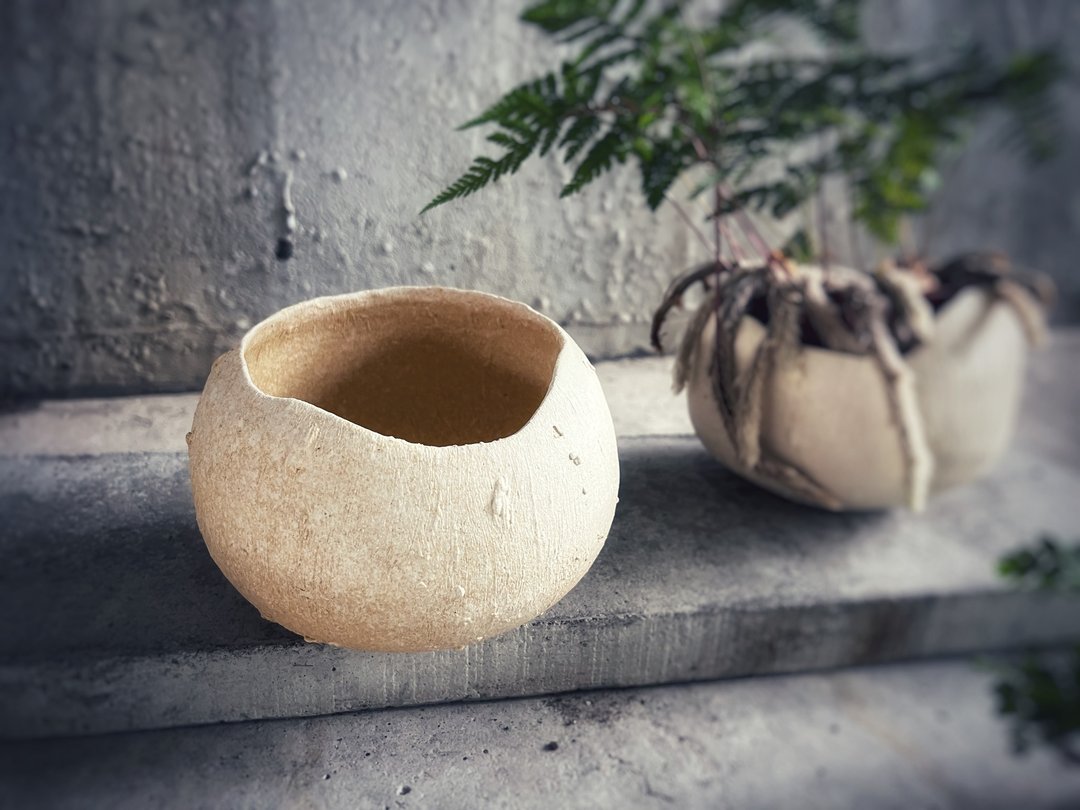 白陶之舞盆器 / 白垩纪恐龙蛋花盆 - 铭黄椰子 - 植栽/盆栽 - 陶 