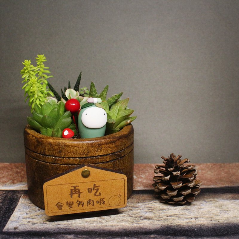 【多肉植物木盆-三色米团丸子】盆栽/植栽/生日/刻字(附字牌) - 植栽/盆栽 - 植物．花 绿色