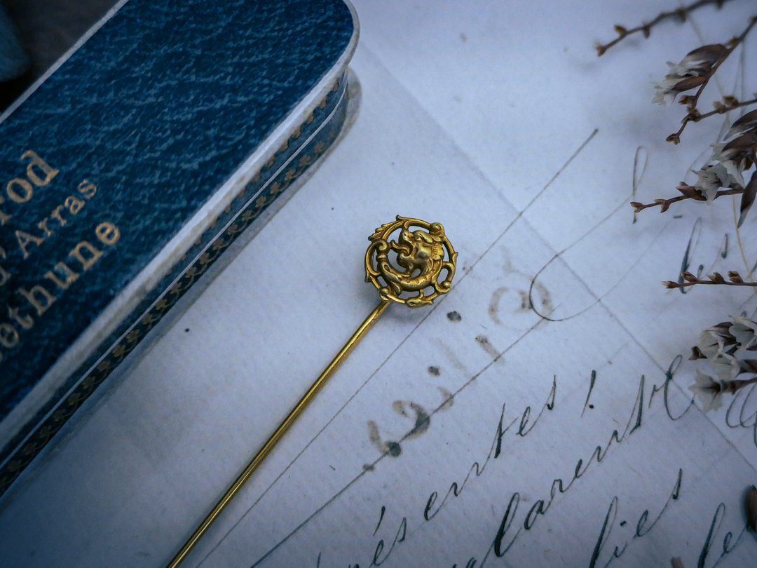 法国百年怪兽龙首帽针 长型胸针－欧洲古董首饰 Vintage Jewelry - 其他 - 其他金属 