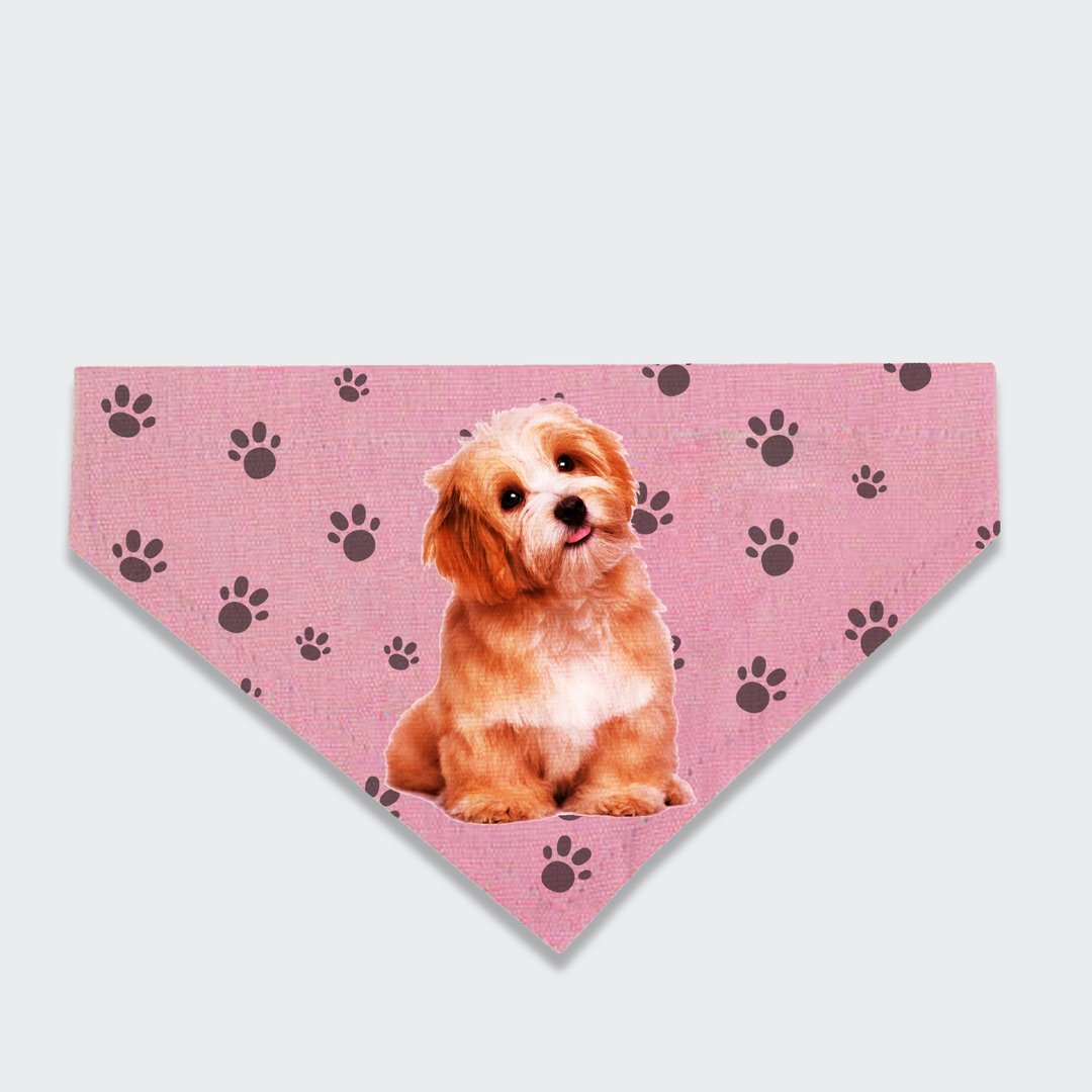 【Pet Shop系列】订制宠物三角巾口水巾创意围巾礼物 - 衣/帽 - 其他材质 