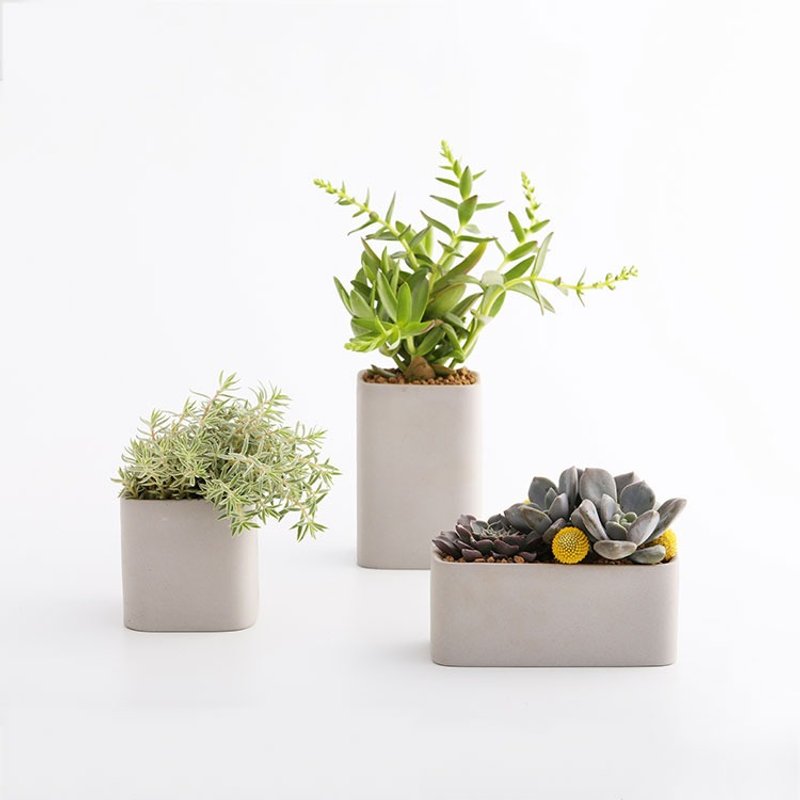 3 containers ｜三个容器（多肉盆栽） - 花瓶/陶器 - 瓷 灰色