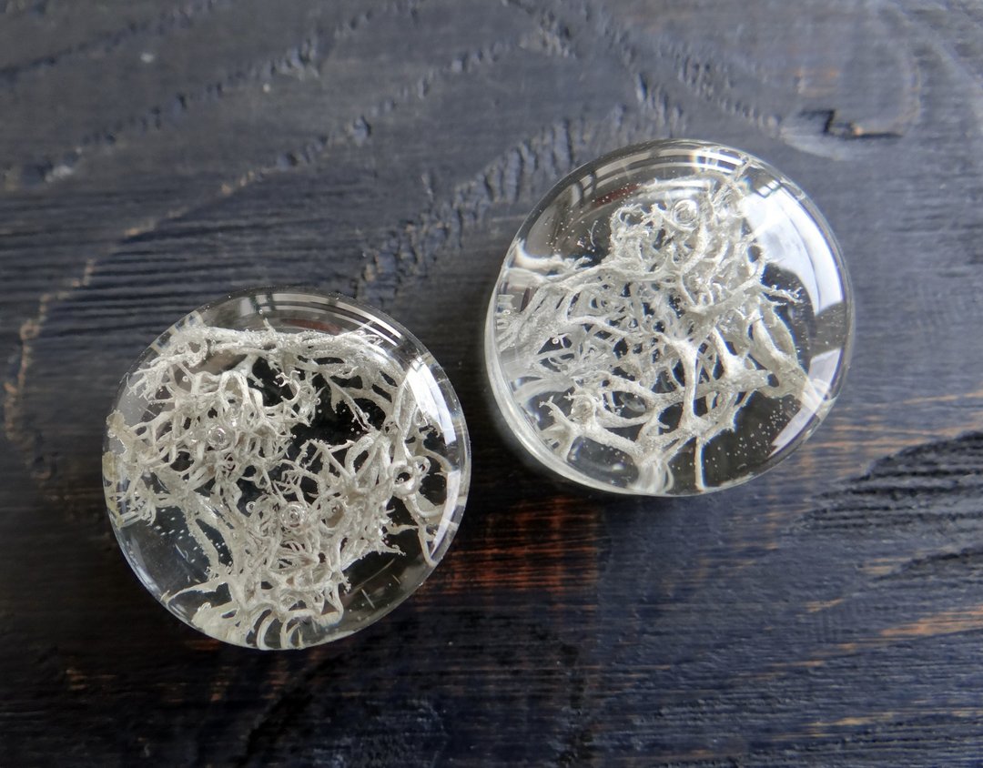 Gray ear plugs gauges 2g 0g 00g jewelry Double Lucite - 耳环/耳夹 - 植物．花 灰色
