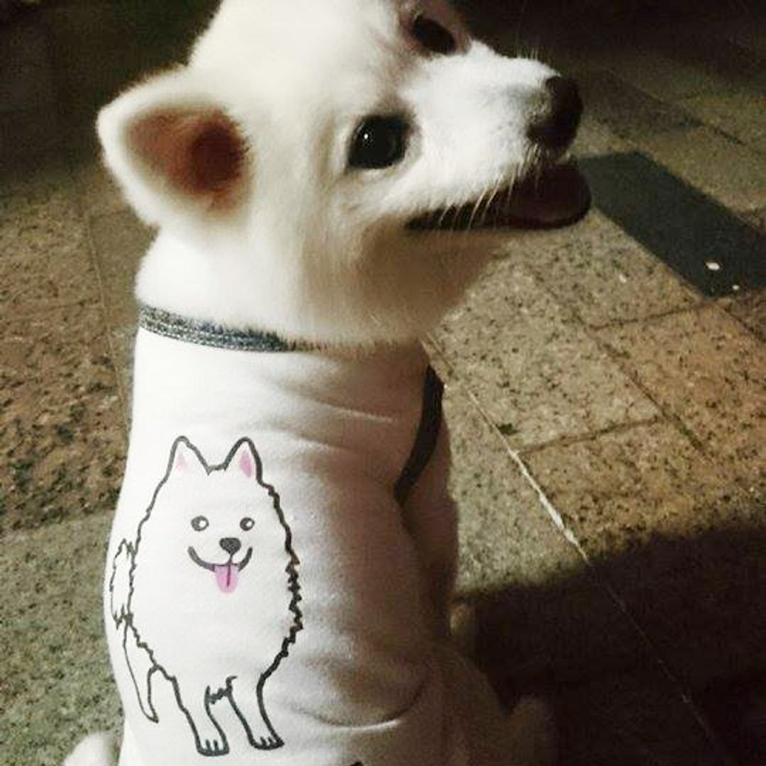 [毛孩姓名订做款] 狐狸犬 Japanese Spitz 反光衣(毛孩款) - 衣/帽 - 棉 白色