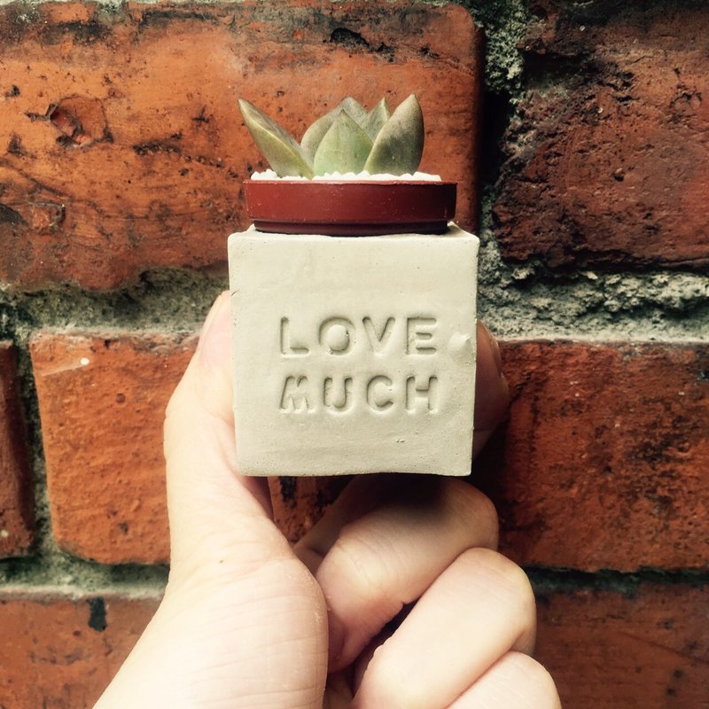 Love Much(要爱多一些)~!多肉磁铁盆栽 - 植栽/盆栽 - 水泥 灰色