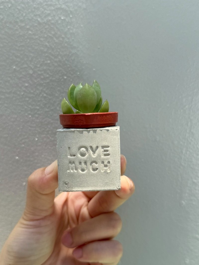 Love Much(要爱多一些)~!多肉磁铁盆栽 - 植栽/盆栽 - 水泥 灰色