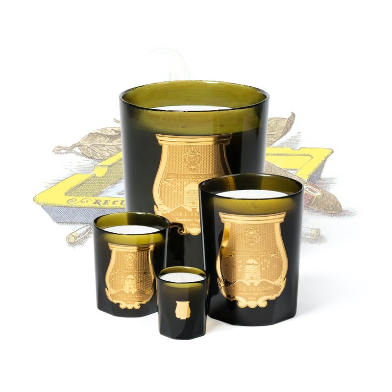 Cire Trudon 皮革与菸草香氛蜡烛 - 蜡烛/烛台 - 玻璃 卡其色