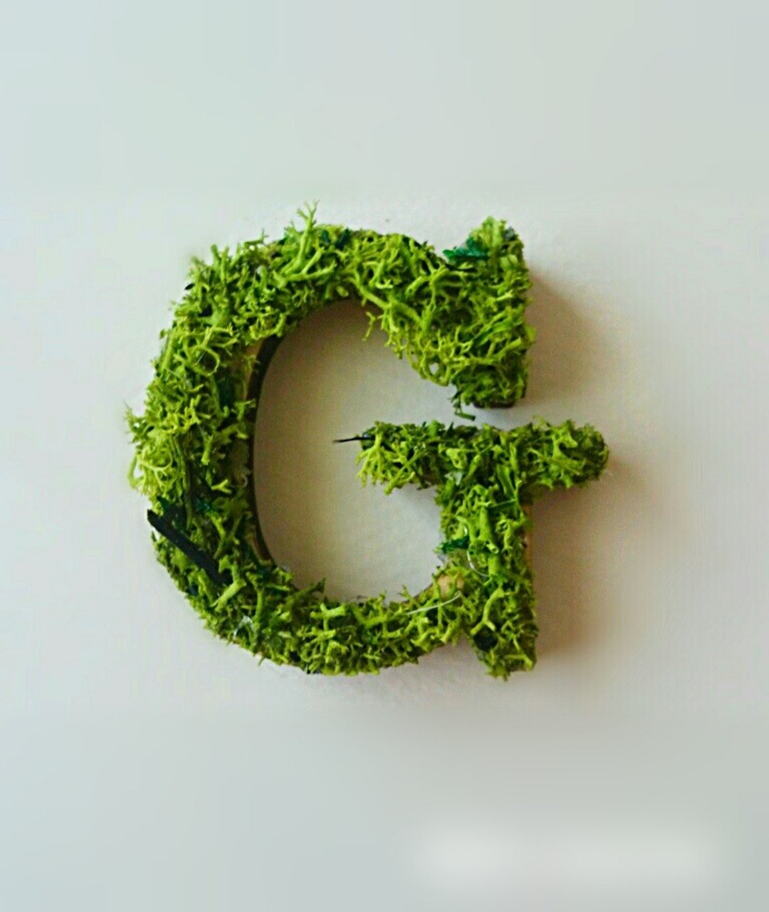 Wooden Alphabet Object (Moss) 5cm/Gx 1 piece - 摆饰 - 木头 绿色