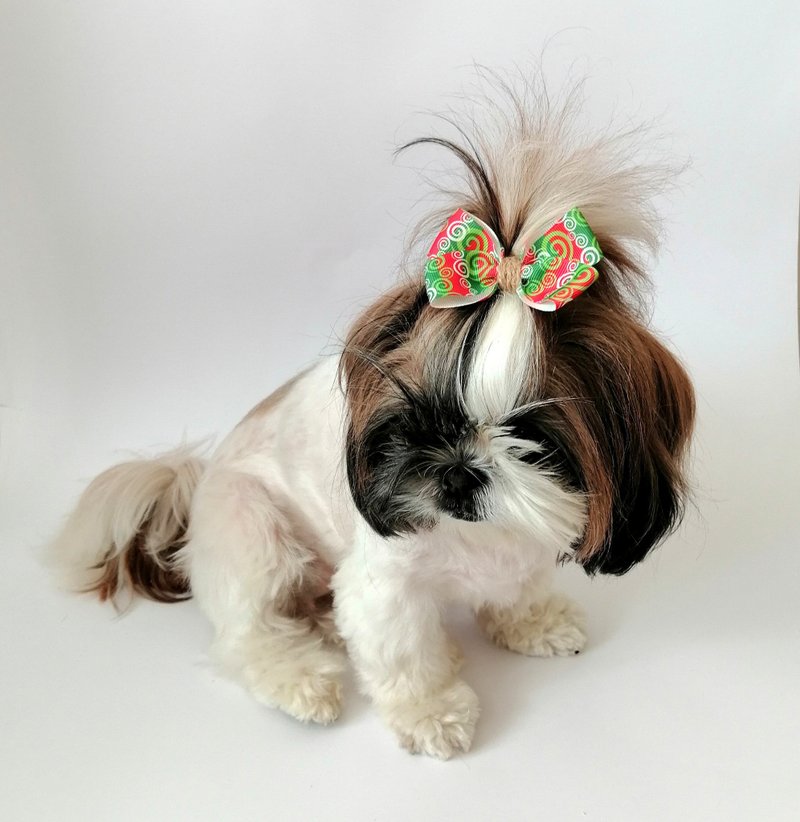 Christmas hair bows, Set of 3 dog hair clips for Shih Tzu, Yorkie, Cockerpoo - 衣/帽 - 其他材质 多色
