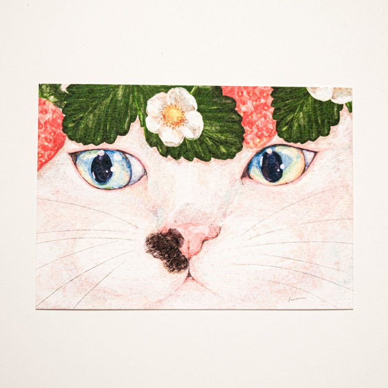 明信片 猫与草莓花 - 卡片/明信片 - 纸 