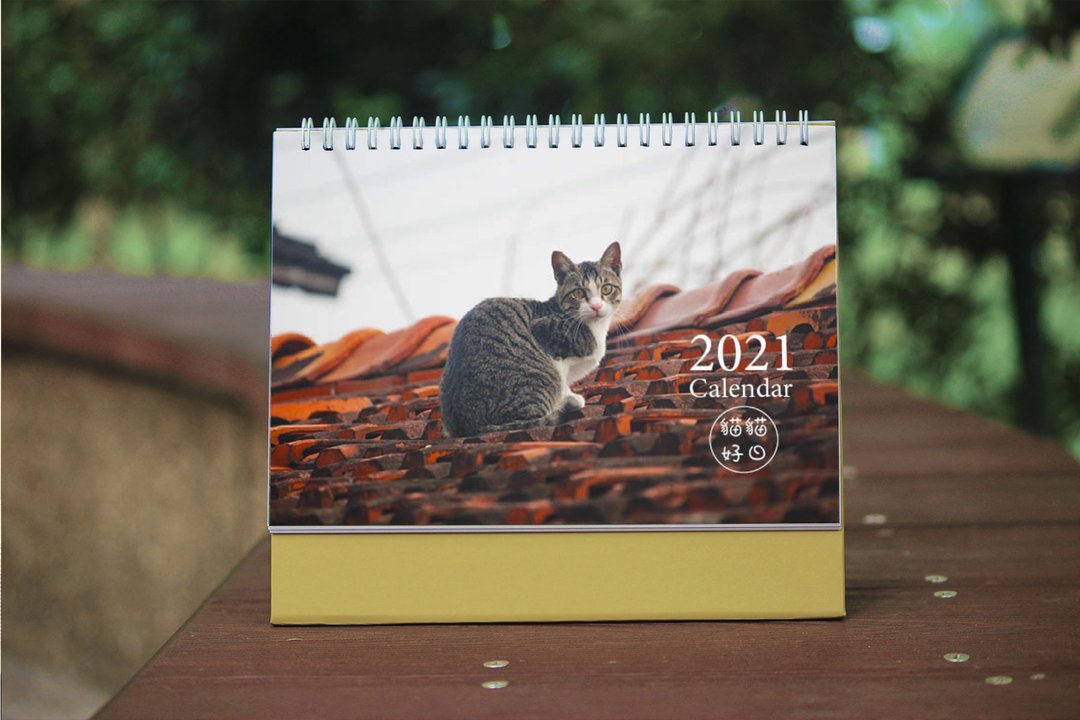 猫猫好日  2021年桌历 2入组 - 年历/台历 - 纸 
